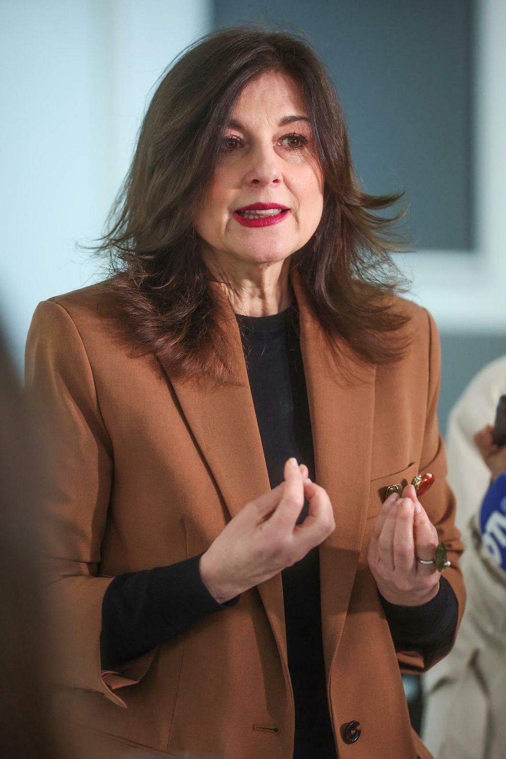 Sanja Musić Milanović