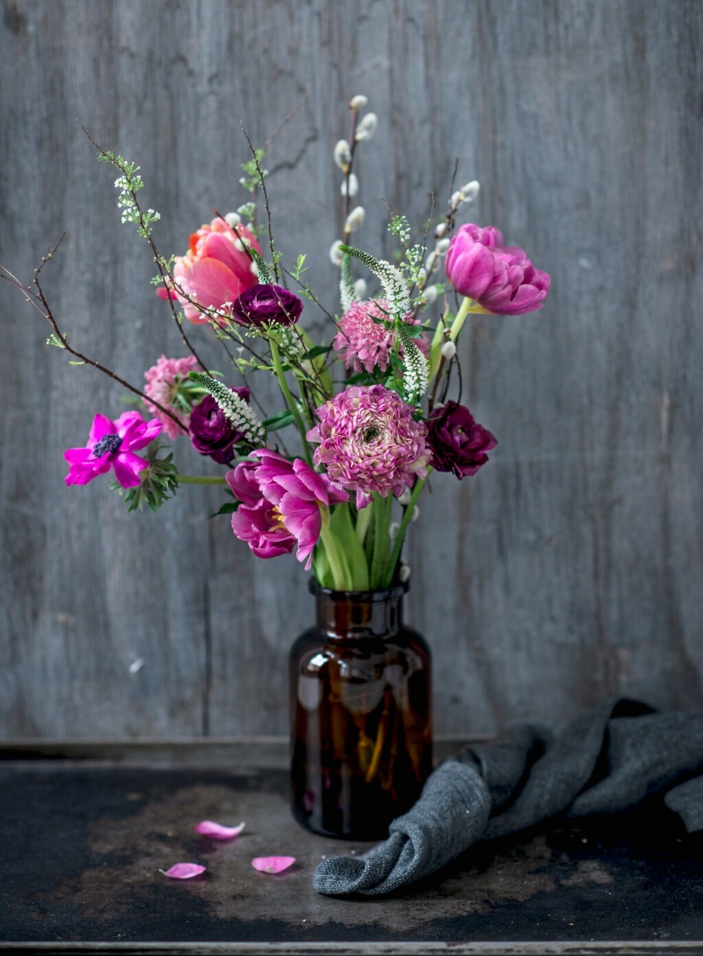 Cica mace u vazi su divan ukras doma