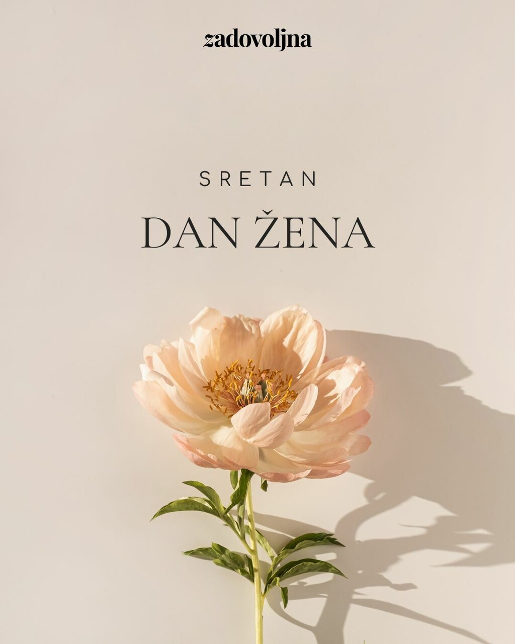 Čestitke za Dan žena - 9