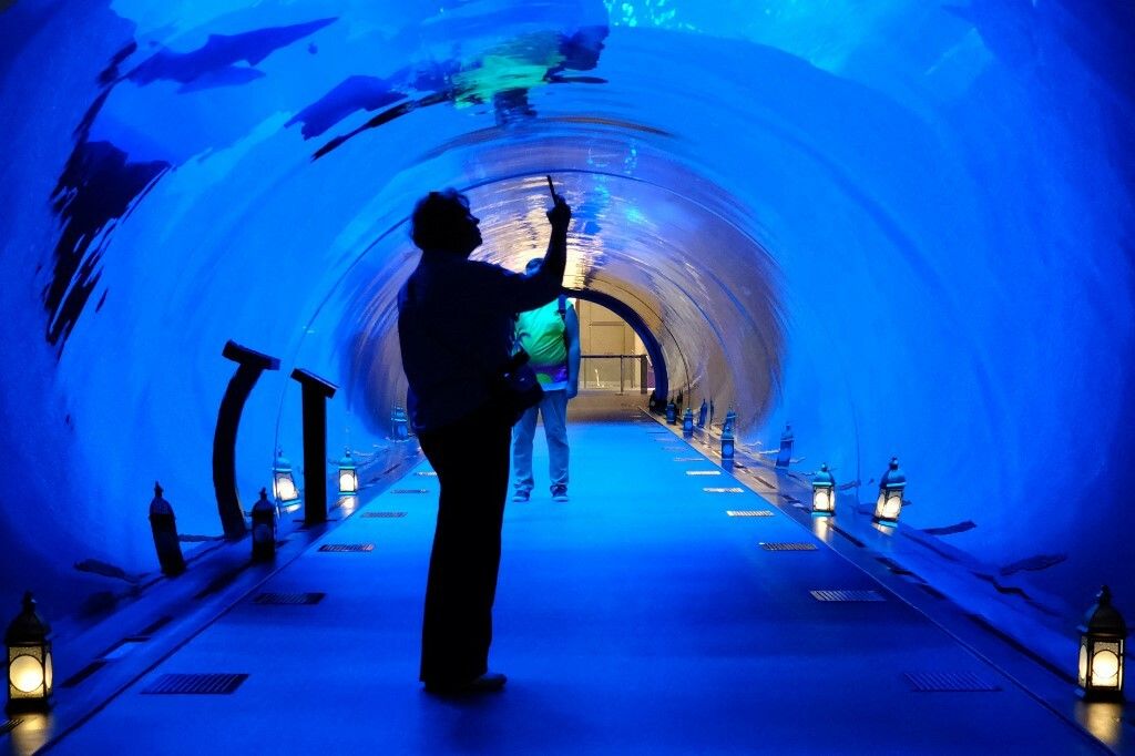 Prizori iz Dubaija - 5