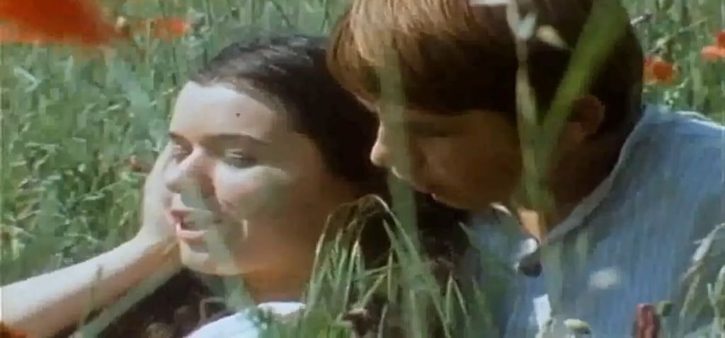 Vlasta Knezović - 2