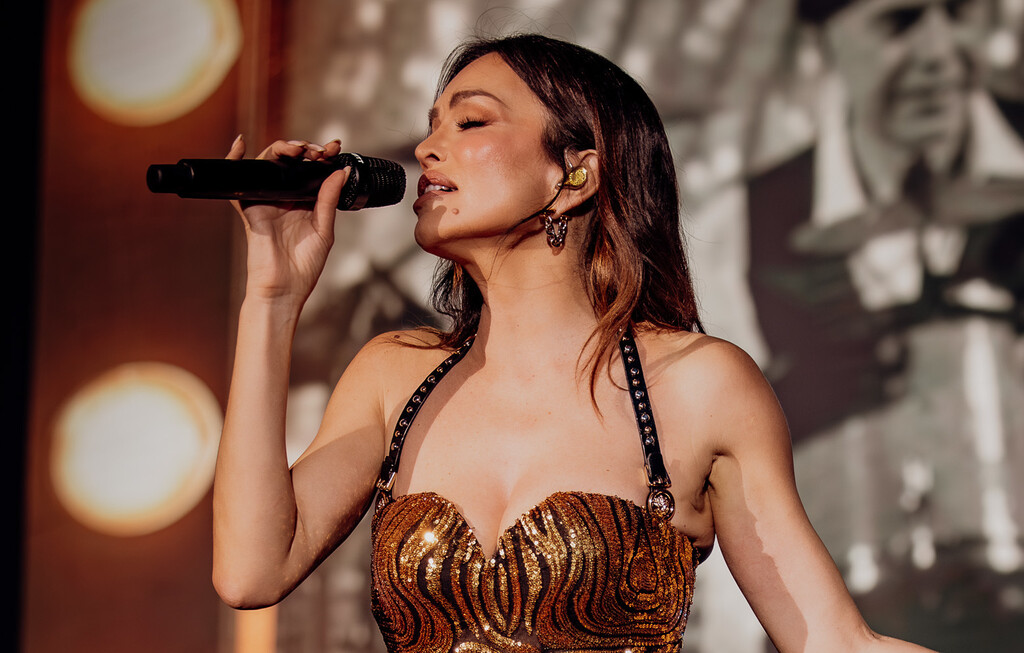 Severina je održala koncert u Sisku - 8