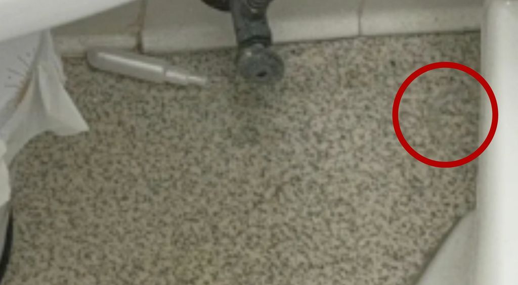 Muškarac koji gleda kroz povećalo i izazov traženja