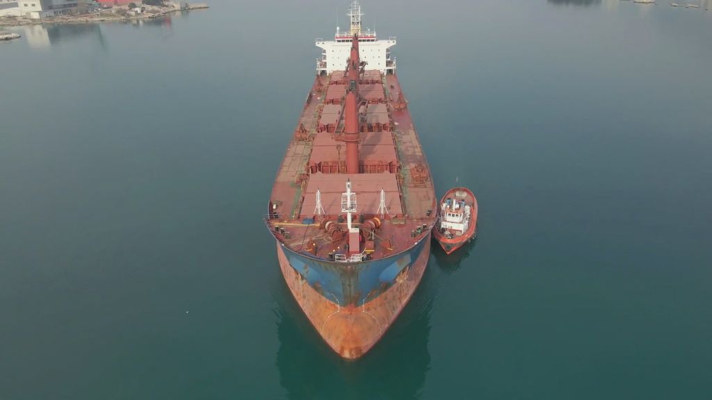 Turska presudila Bekavcu 30 godina