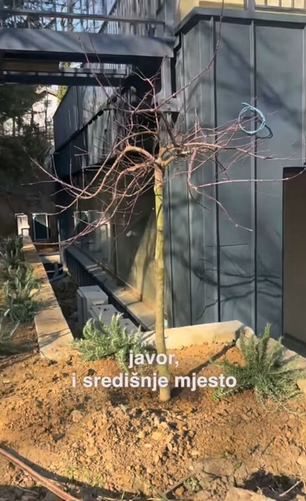 Ida Prester na Instagramu