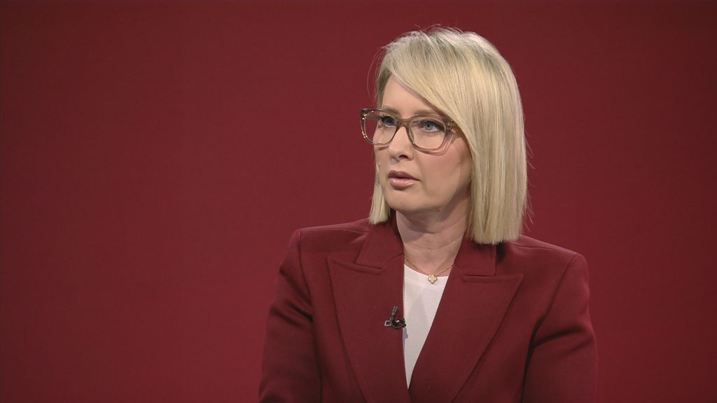 Financijska analiza Hrvoja Japunčića