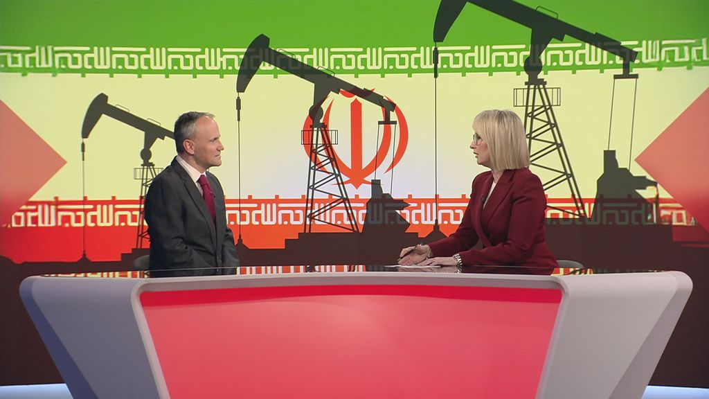 Financijska analiza Hrvoja Japunčića