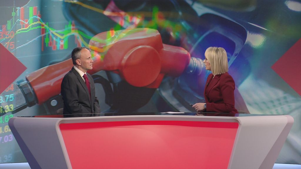 Financijska analiza Hrvoja Japunčića