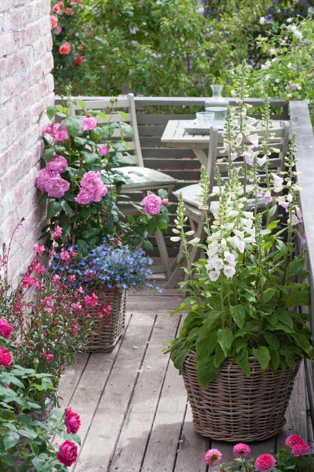 Mali balkon ispunite biljem i cvijećem