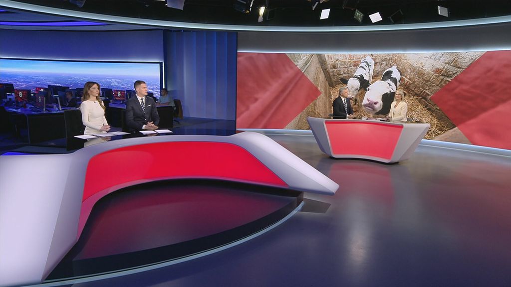 Sabina Tandara Knezović i Zvonimir Mršić - 1