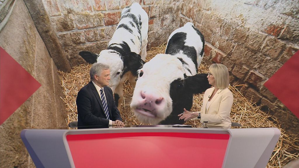 Sabina Tandara Knezović i Zvonimir Mršić - 1