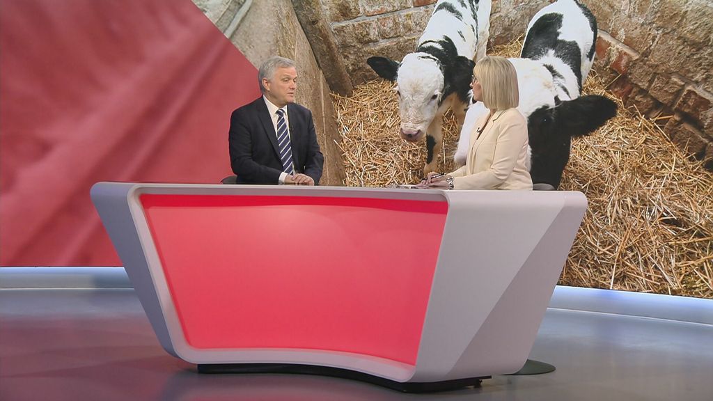 Sabina Tandara Knezović i Zvonimir Mršić - 1