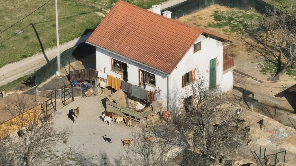 Poziv: Divlja skloništa za životinje