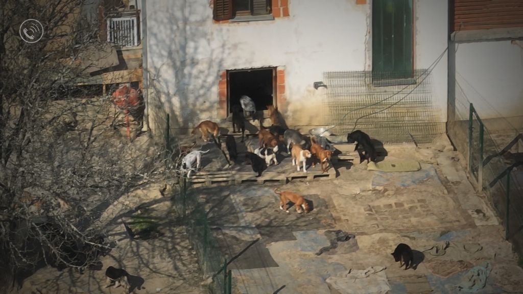 Divlja skloništa za životinje