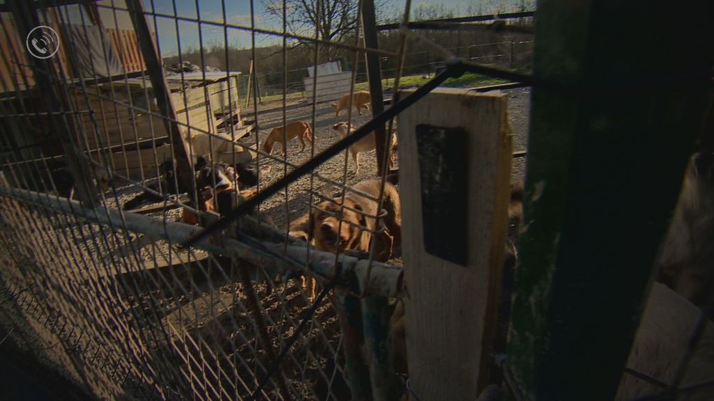 Divlja skloništa za životinje