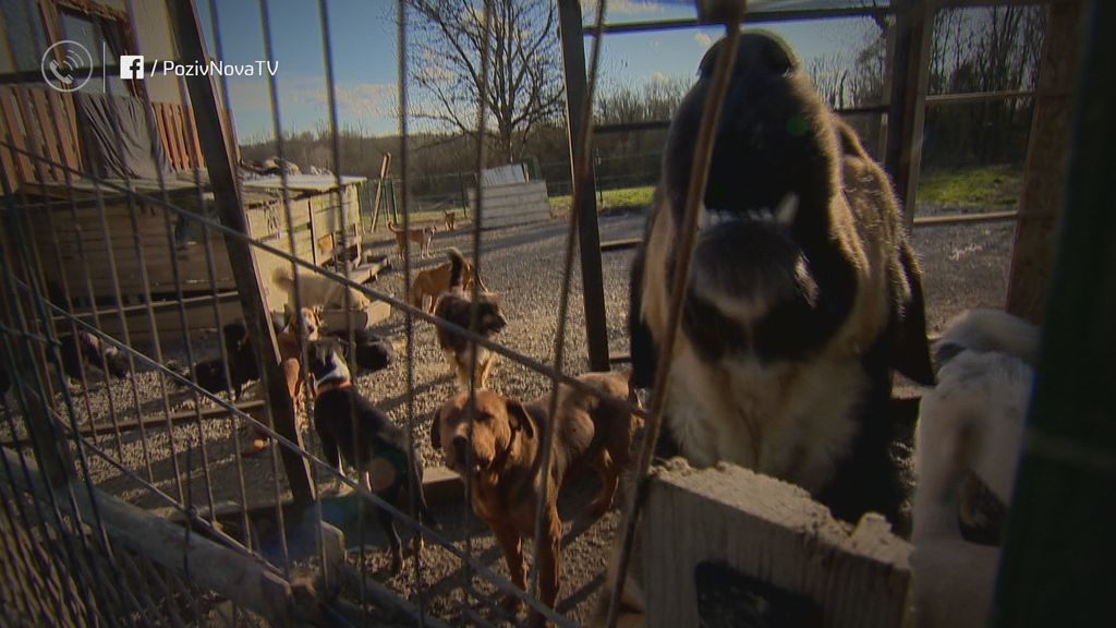 Divlja skloništa za životinje