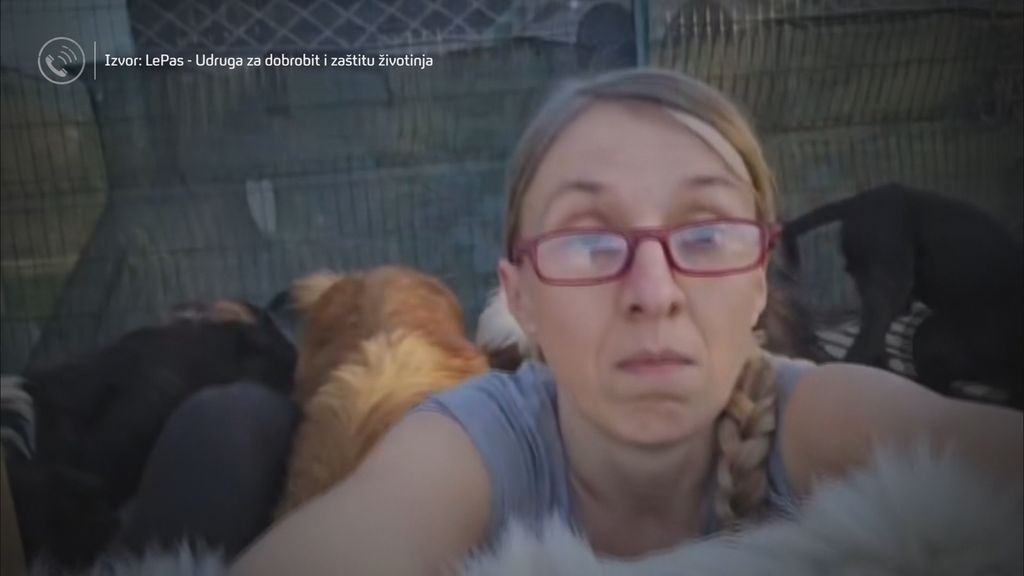 Divlja skloništa za životinje