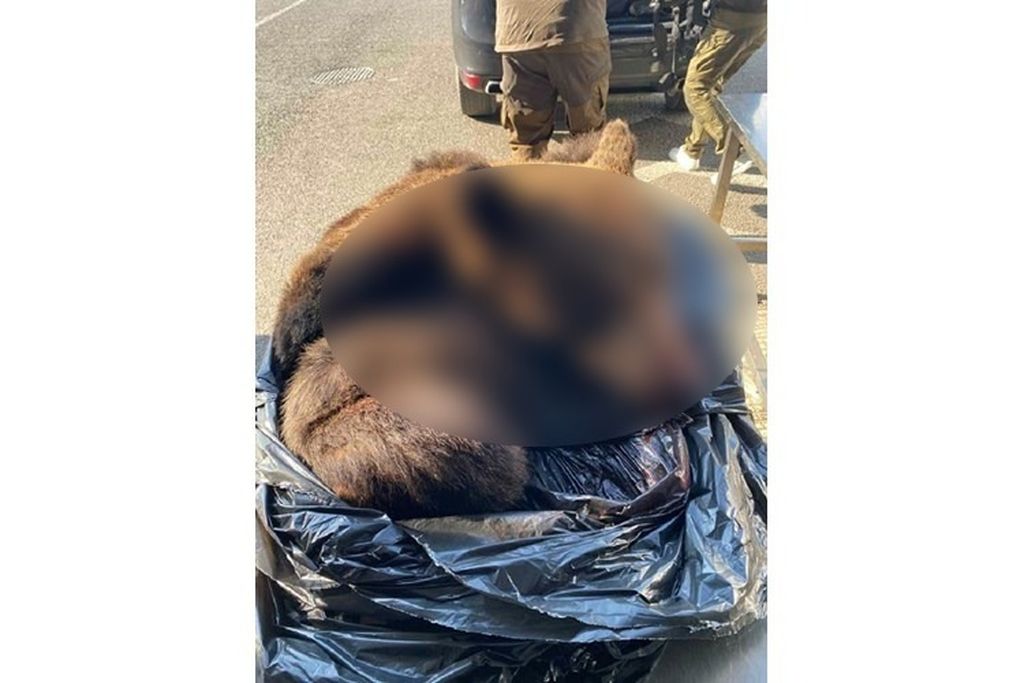 Carinski službenici spriječili nezakonit unos gotovine i zaštićenih vrsta - 2