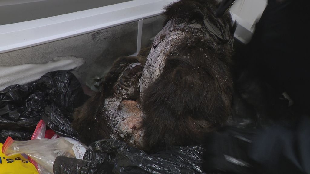 Bizarna zapljena na carinskom pregledu