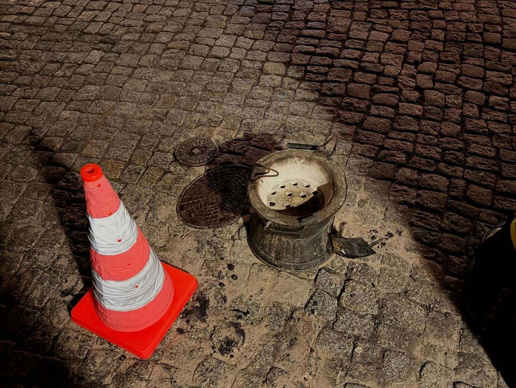 Roštilj, ilustracija