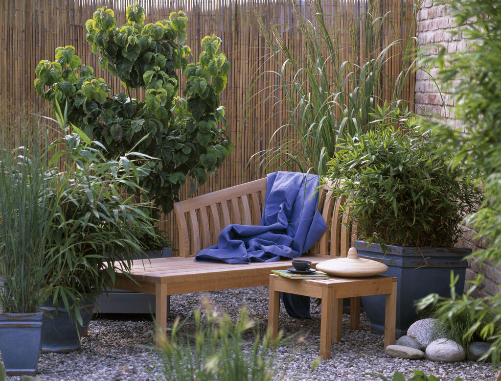 Lažni bambus (panicum) višegodišnja je trava koja cvate u proljeće do ljeta, a zbog visine idealna je za rubne gredice i ukrasne tegle - 10