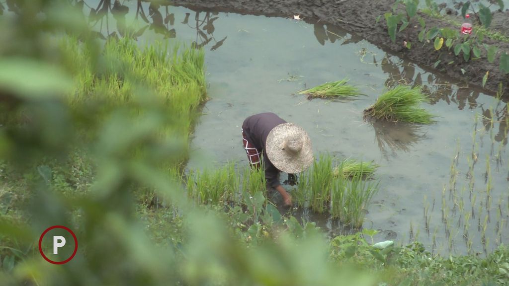 Reportaža Provjerenog s Filipina - 4