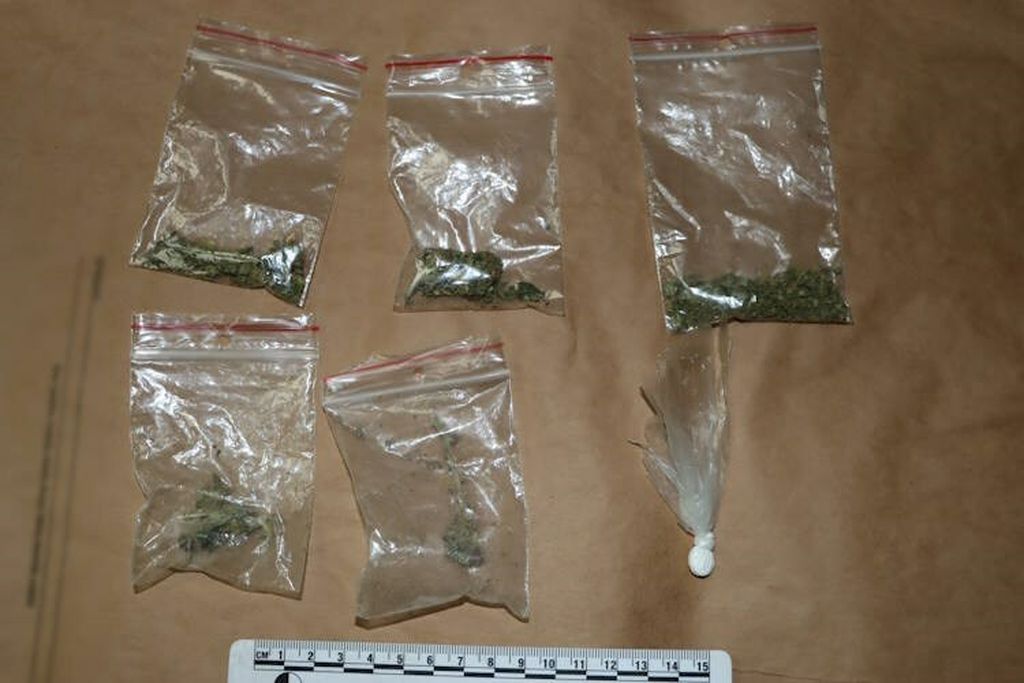 Policija, ilustracija