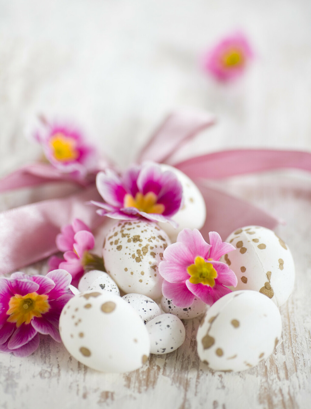 Pisanice s pjegicama - 6