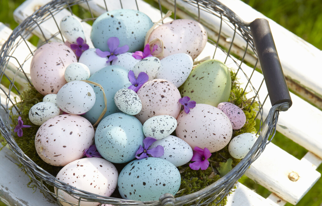 Pisanice s pjegicama - 8