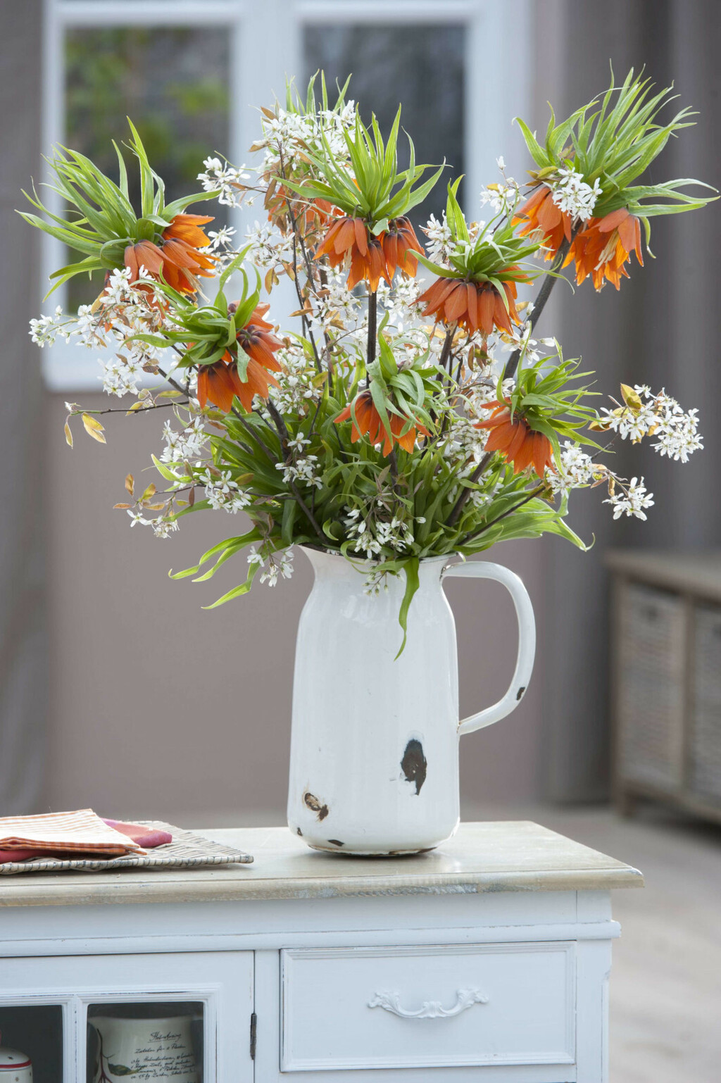 Carska krunica ime je dobila zbog 'krune' cvjetova koja ponosno stoji na vrhu visoke stabljike - 2