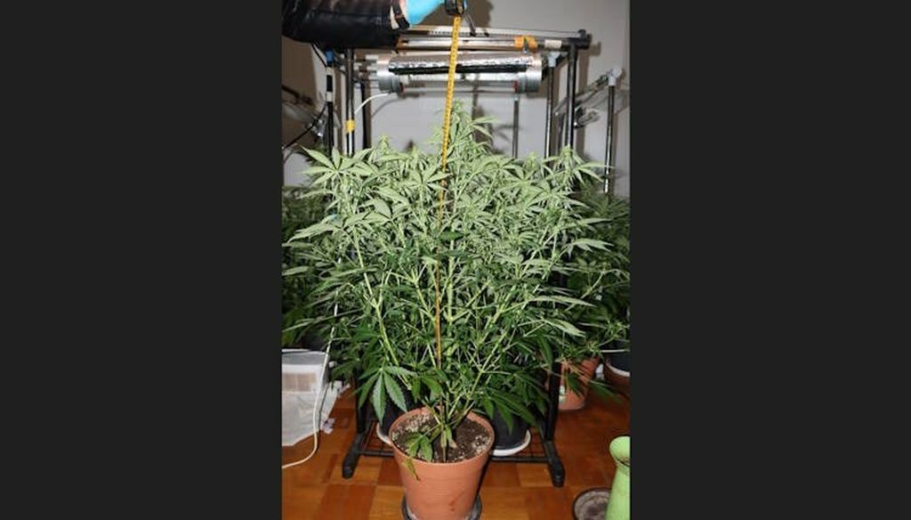 Zagrebačka policija na Trešnjevci pronašla drogu - 5