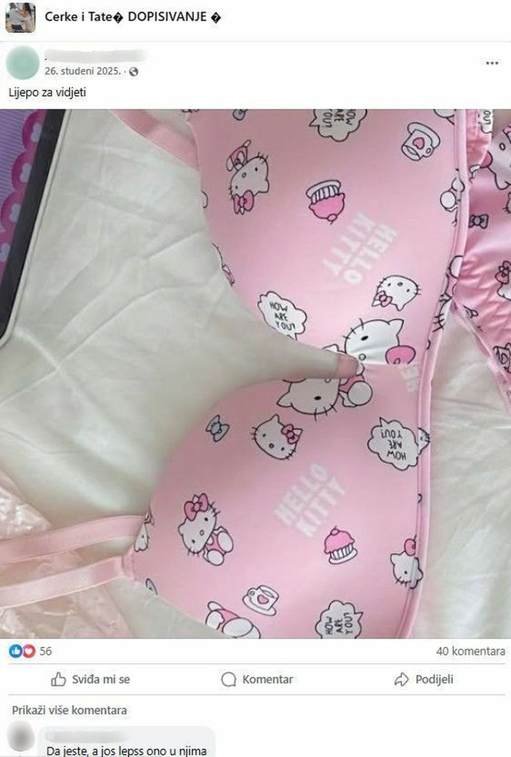 Dopisivanja u Facebook grupi