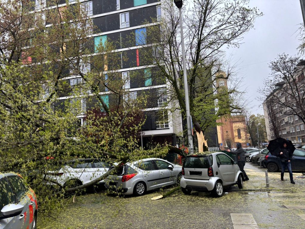 U Podsusedu se srušilo stablo