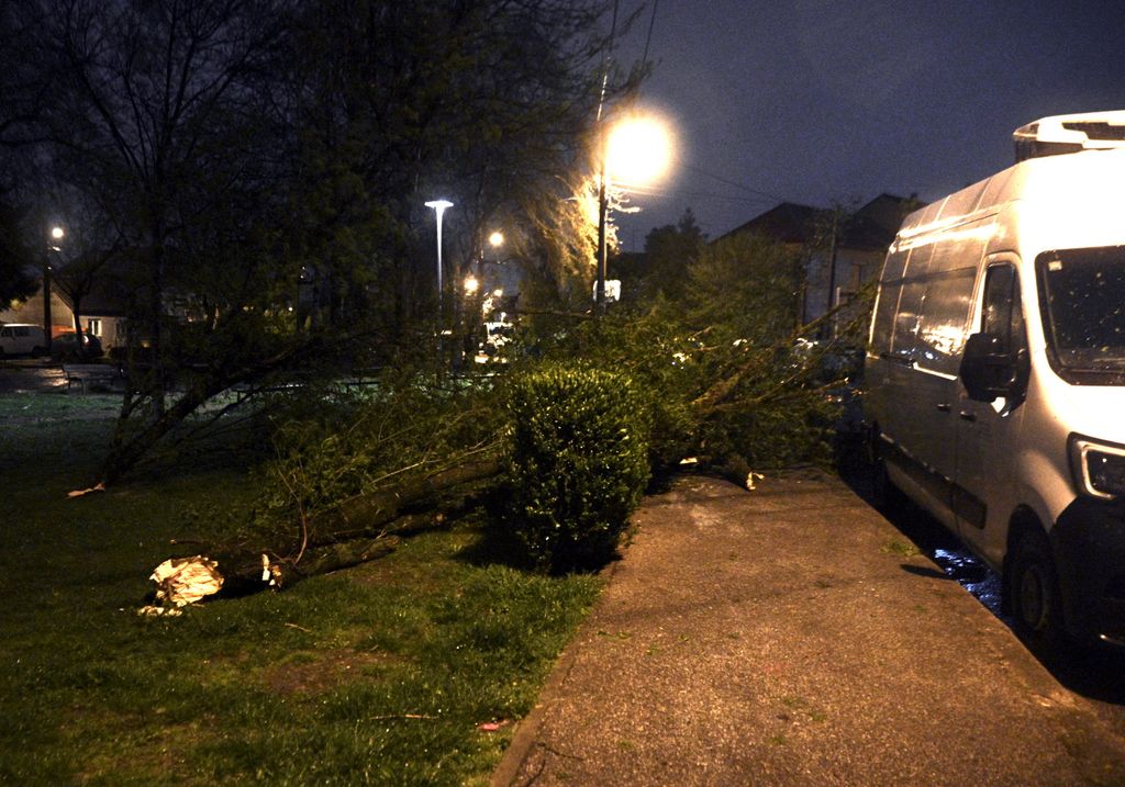 Nevrijeme rušilo stabla u Zagrebu - 4
