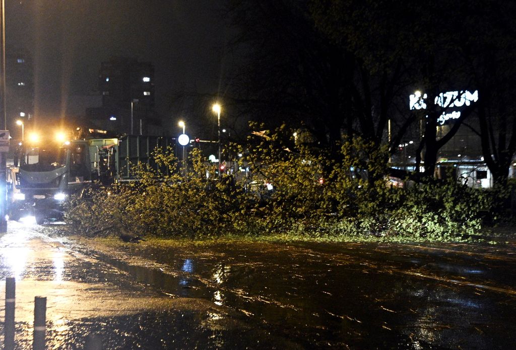 Nevrijeme rušilo stabla u Zagrebu - 4