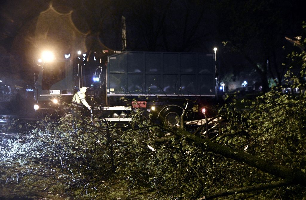 Nevrijeme rušilo stabla u Zagrebu - 4