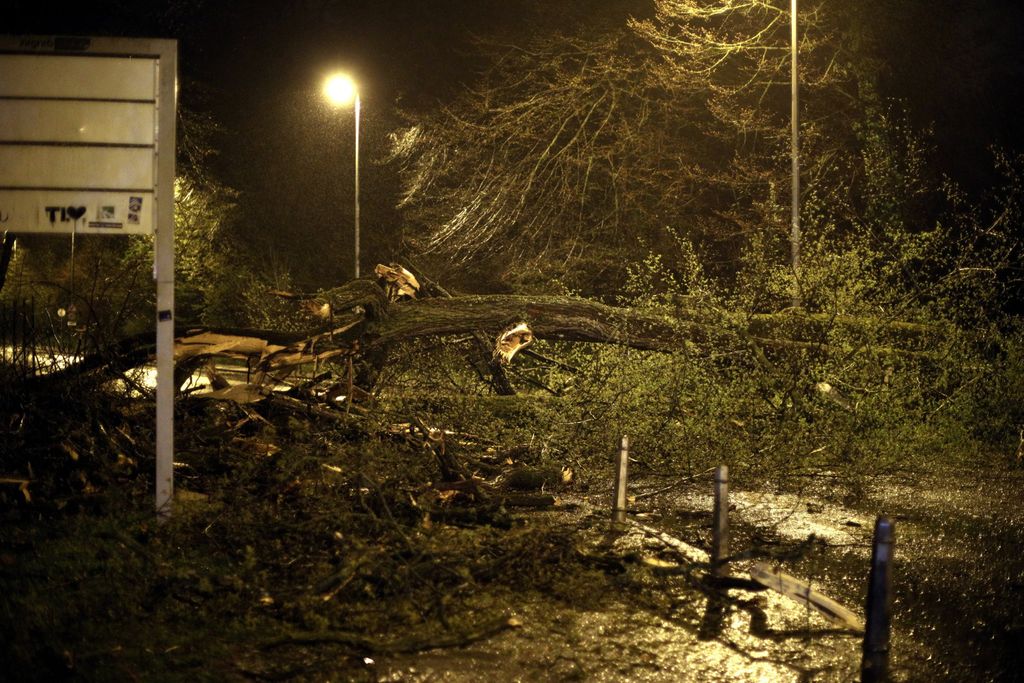 Nevrijeme rušilo stabla u Zagrebu - 4