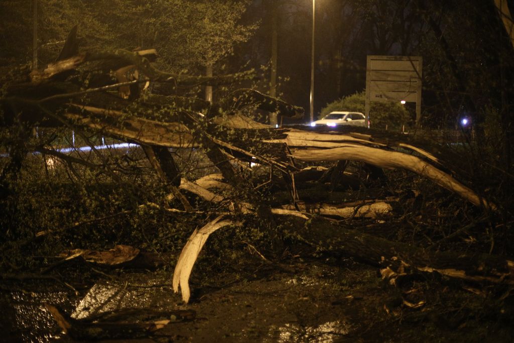 Nevrijeme rušilo stabla u Zagrebu - 4