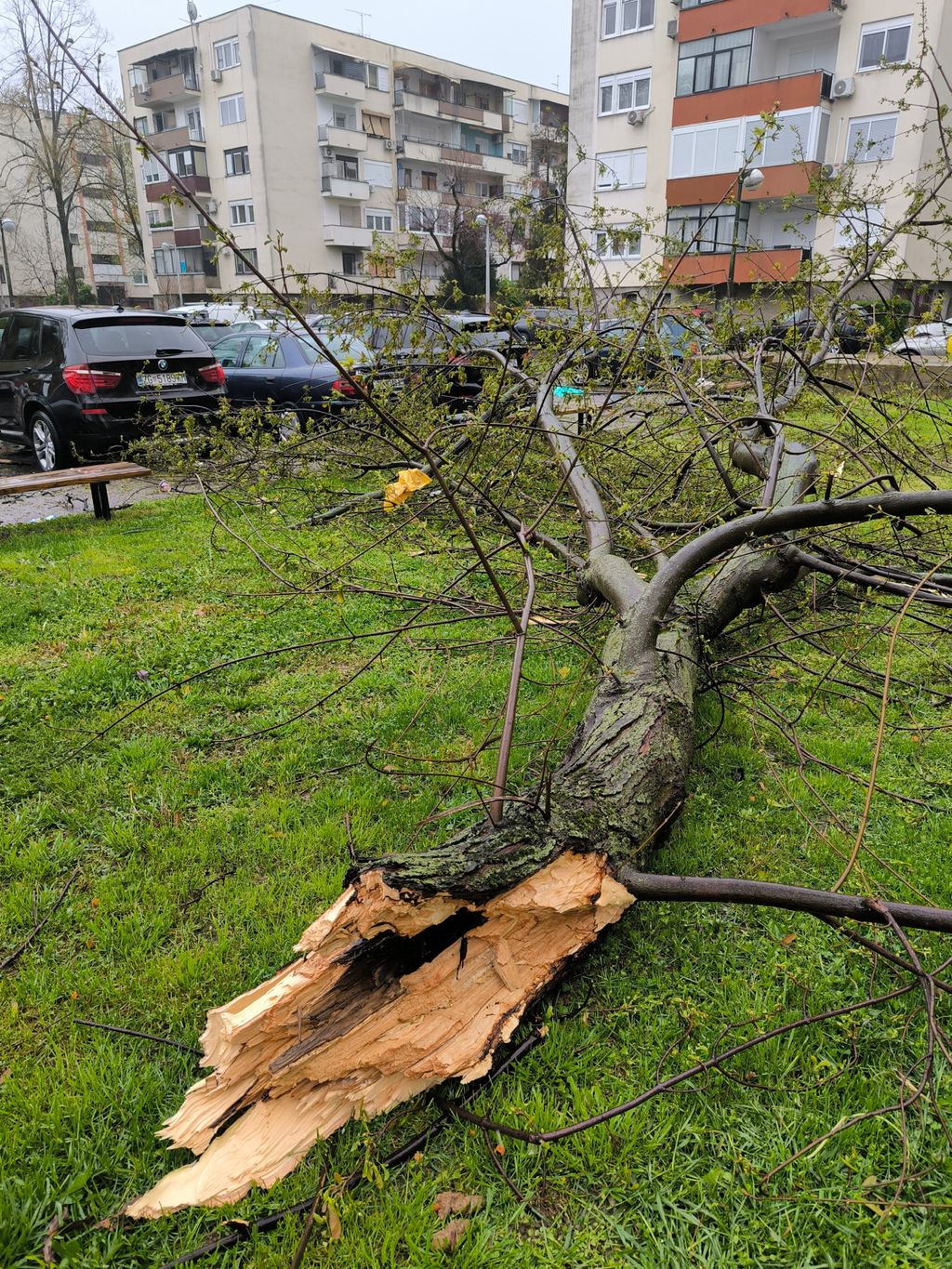 Veliki broj linija je ili u prekidu ili je preusmjeren