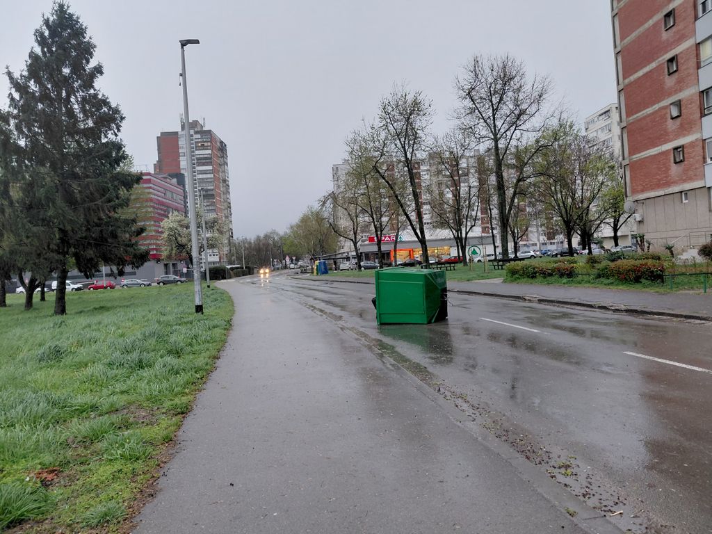 Drveće na prometnicama