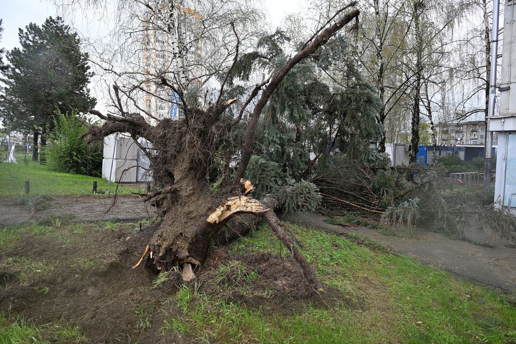 Nevrijeme u Zagrebu - 13
