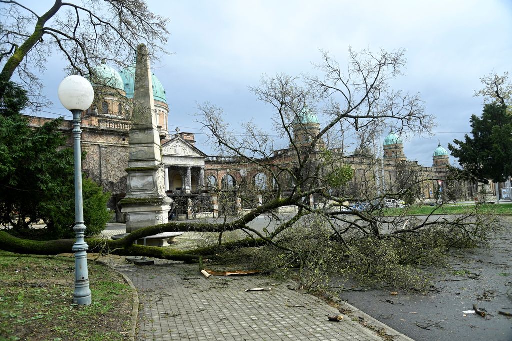 Šteta na Mirogoju - 1