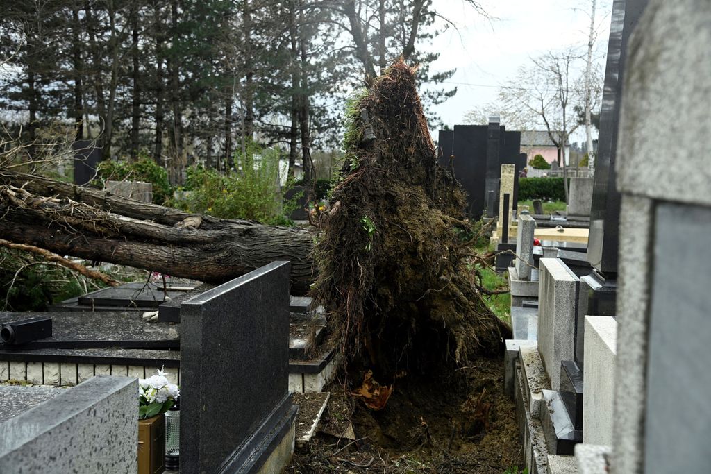 Šteta na Mirogoju - 1