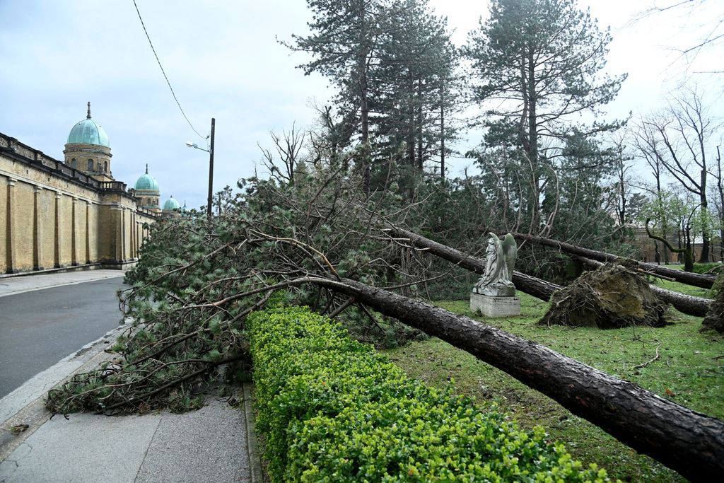 Šteta na Mirogoju - 1