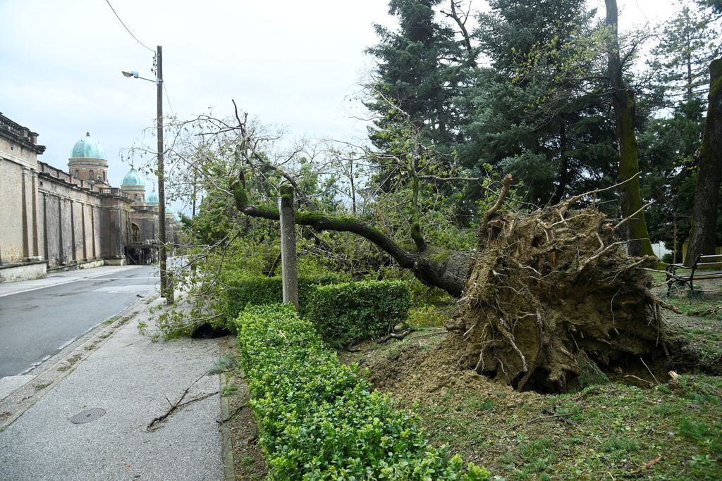 Šteta na Mirogoju - 1