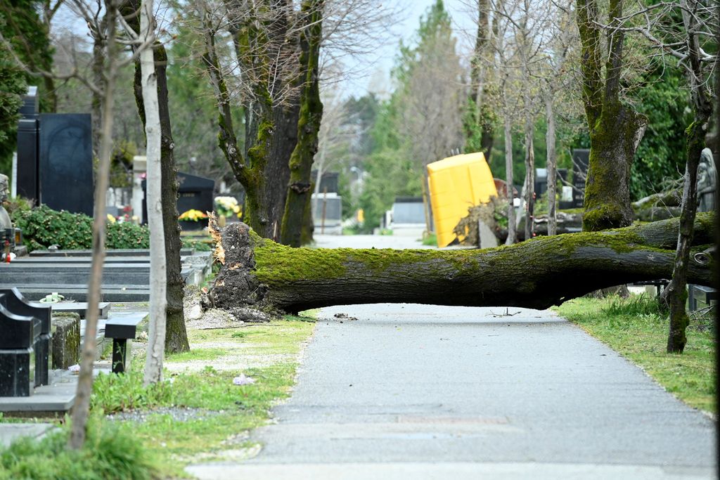 Šteta na Mirogoju - 1