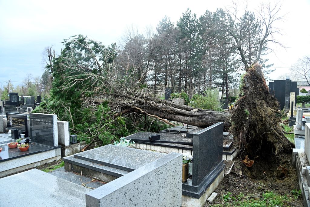 Šteta na Mirogoju - 1