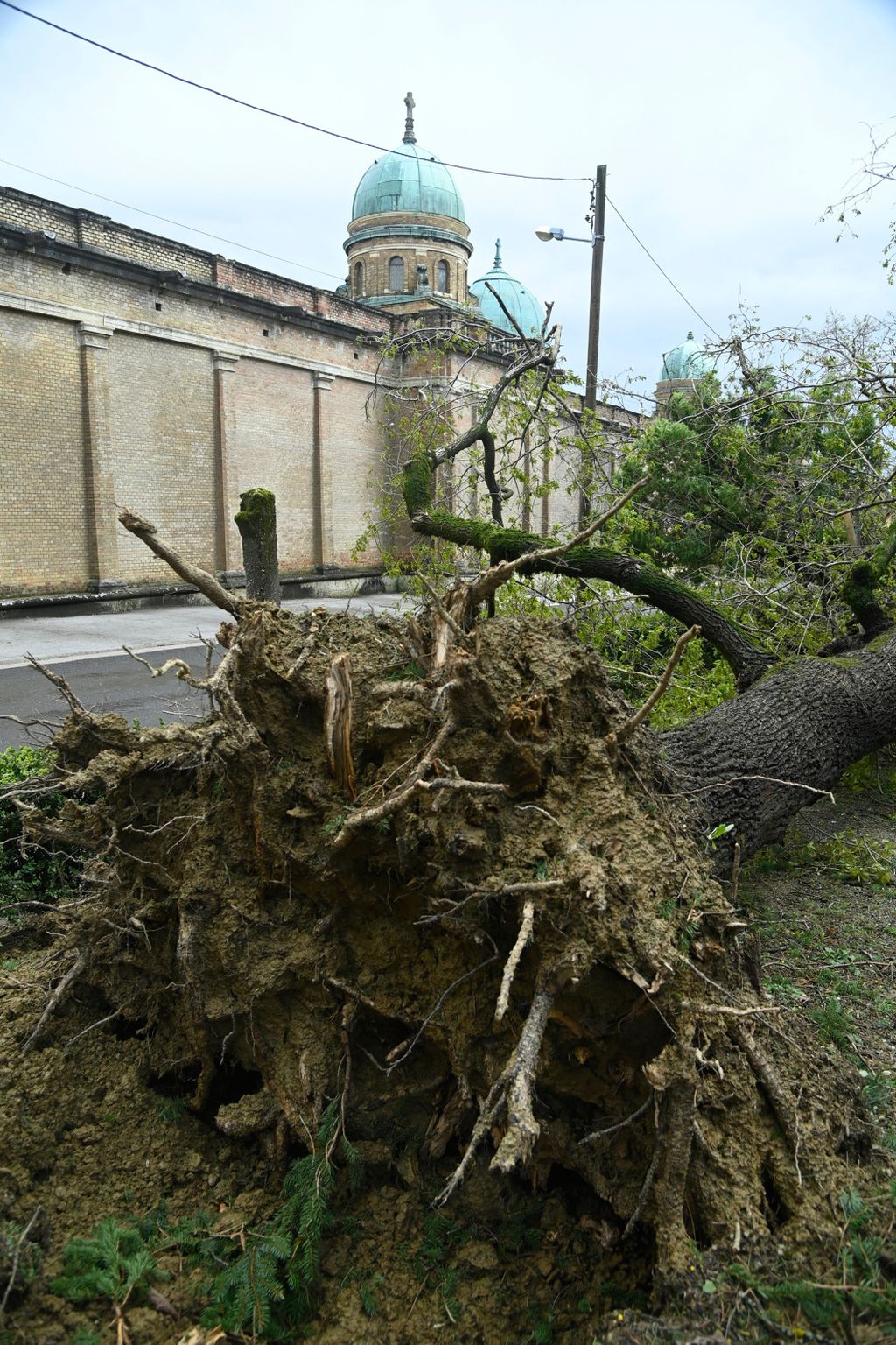 Šteta na Mirogoju - 1