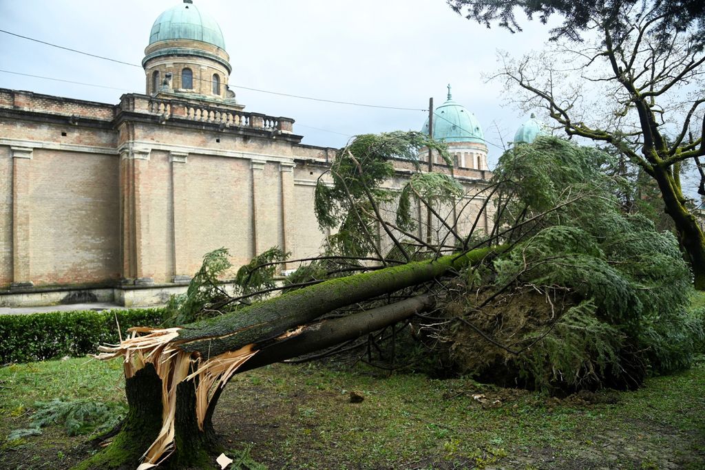 Šteta na Mirogoju - 1