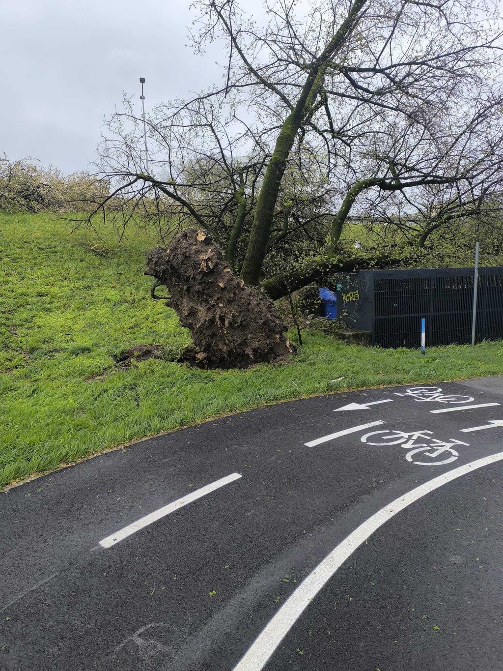 Posljedice nevremena u Zagrebu